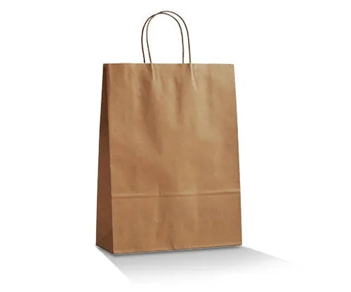 Brown Kraft Bag/Twisted Paper Handle – Medium