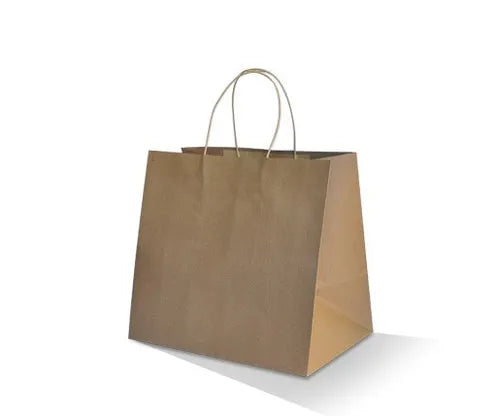 Brown Kraft TA Bag /Twisted Paper Handle170gsm